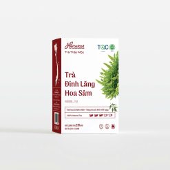 Trà đinh lăng hoa sâm