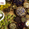 An Lạc Thảo - Thảo Mộc Từ Thiên Nhiên