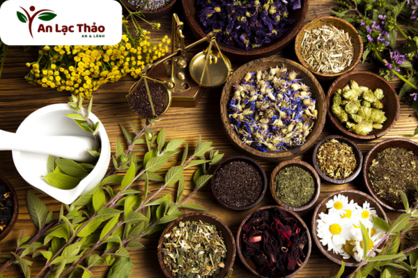 An Lạc Thảo - Thảo Mộc Từ Thiên Nhiên
